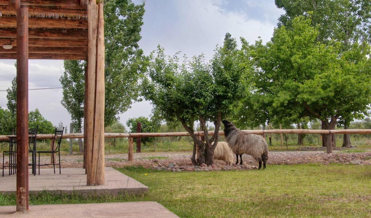 Complejo Turistico Chachingo Villa Maipu  Bagian luar foto